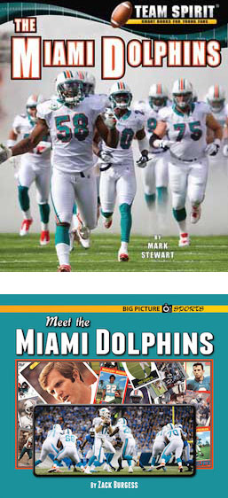 Miami Dolphins, the (Team Spirit)