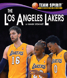 Derek Fisher Signed Game Jersey Los Angeles Lakers - Memorabilia Expert